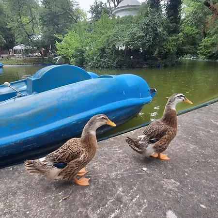 Location Harmony By Hostex Appartamento